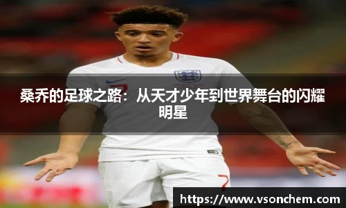 bevictor伟德 - bv伟德国际体育官方网站